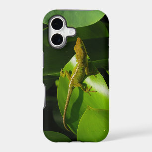 Gecko