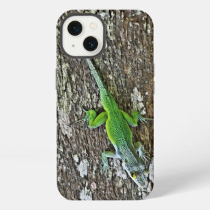 Gecko case
