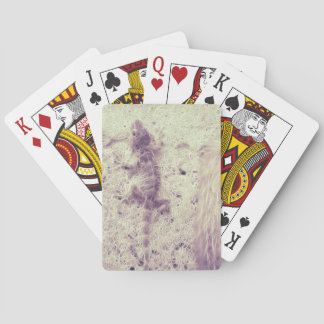 Gecko caught in a canvas playing cards