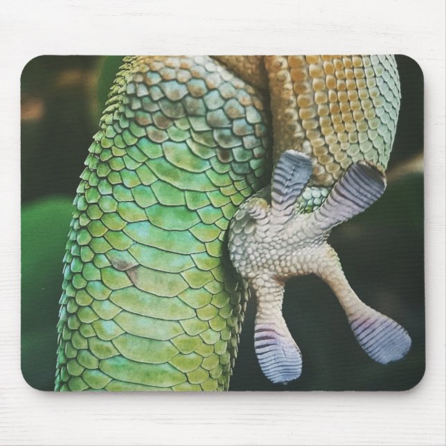 Gecko Feet Mouse Pad (Front)