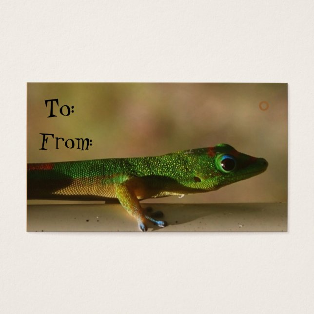 Gecko gift tags (Front)