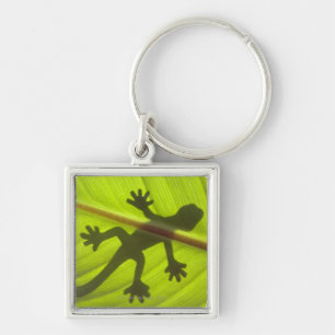 Gecko Key Ring