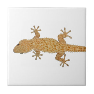 gecko lizard tile