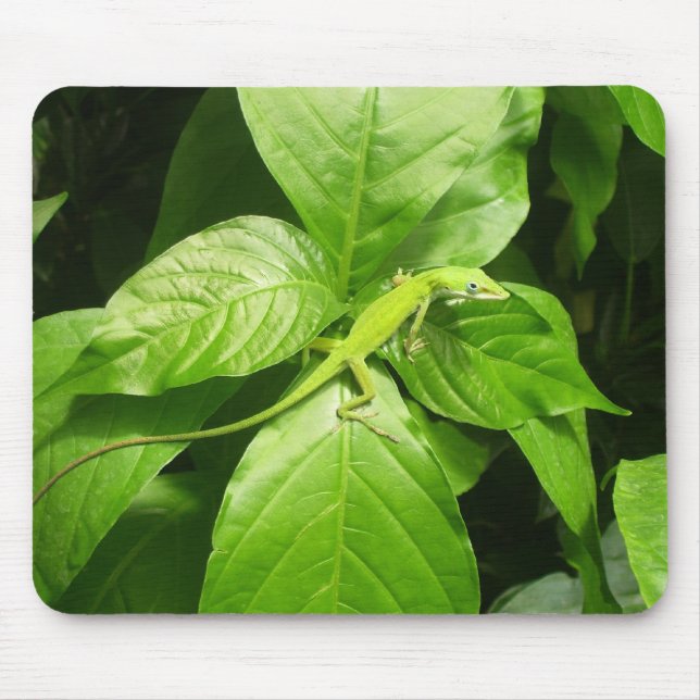 Gecko Mouse Pad (Front)