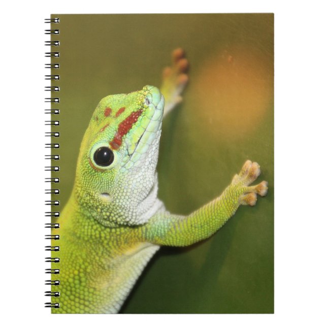 Gecko Notebook (Front)