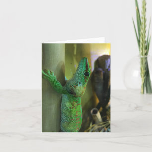 gecko notecard #2 (encouragement)