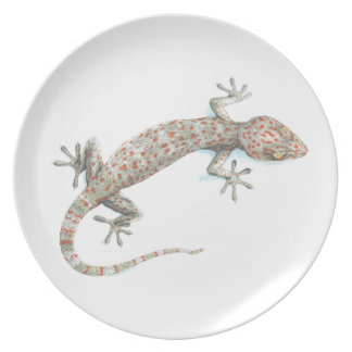 gecko plate