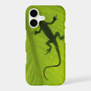 Gecko Silhouette