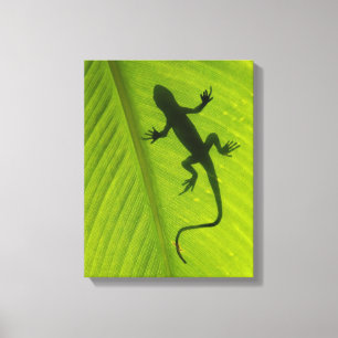 Gecko Silhouette Canvas Print