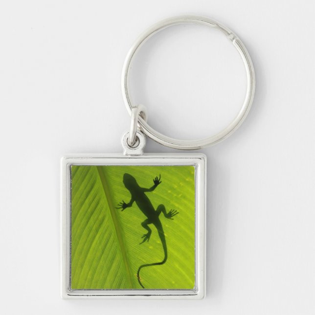 Gecko Silhouette Key Ring (Front)
