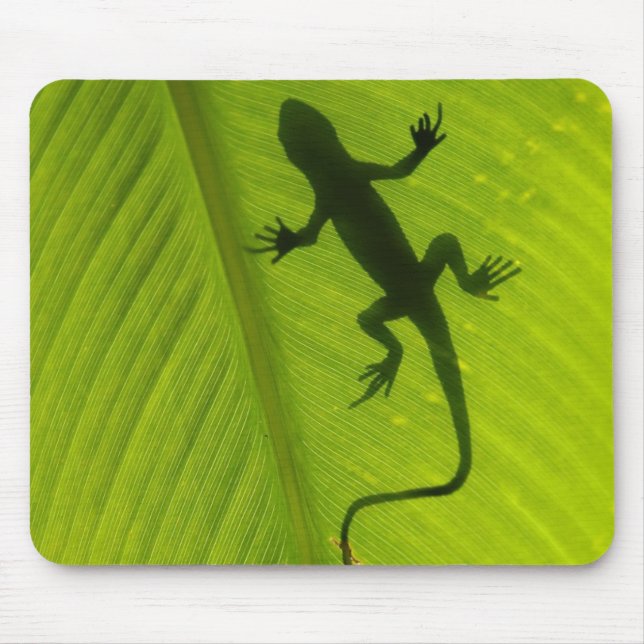 Gecko Silhouette Mouse Pad (Front)
