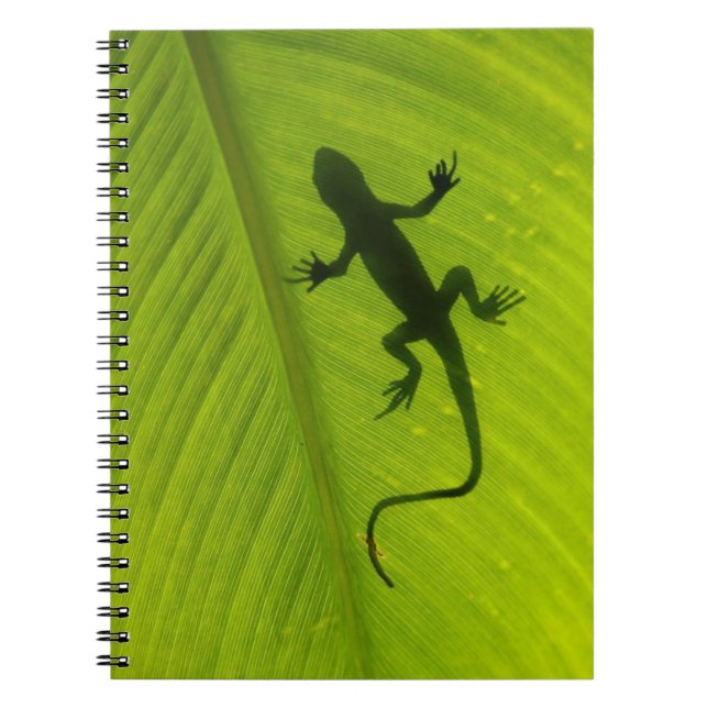 Gecko Silhouette Spiral Notebook (Front)