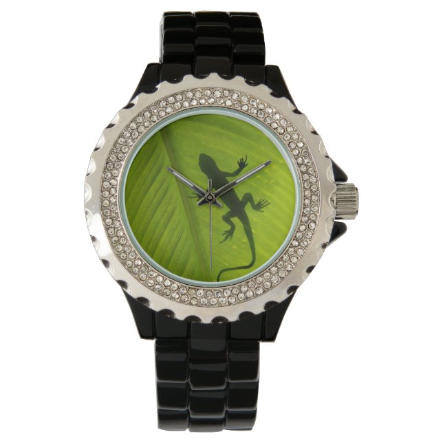 Gecko Silhouette Watch (Front)