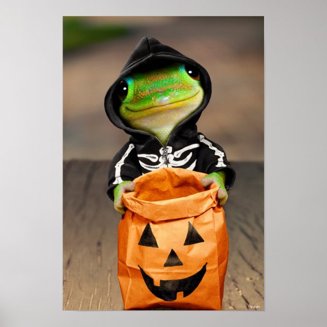 Gecko Skeleton Poster (Front)