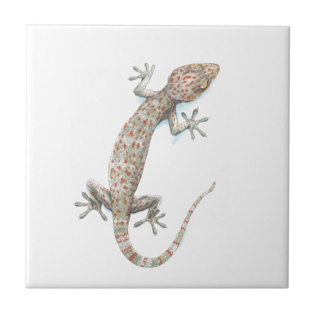 gecko tile (Front)