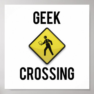 Geek Crossing Poster