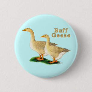 Geese: American Buffs 6 Cm Round Badge