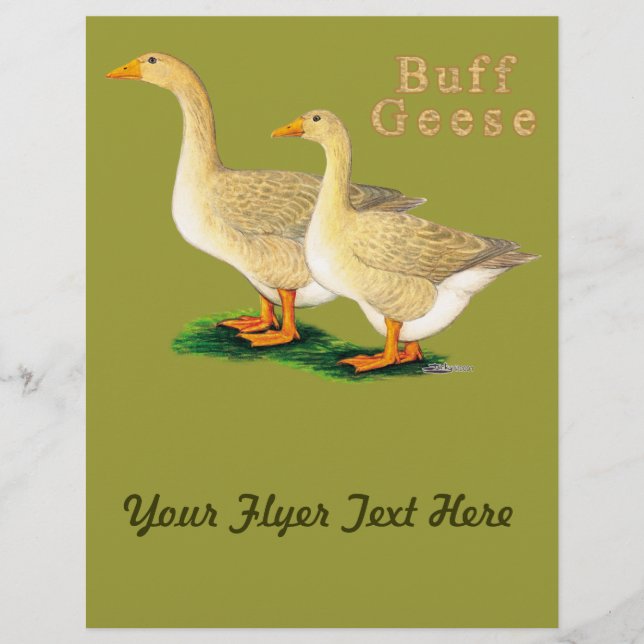 Geese:  American Buffs Flyer (Front)