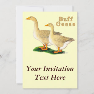 Geese:  American Buffs Invitation