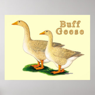 Geese:  American Buffs Poster