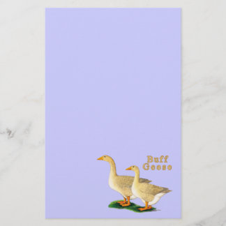 Geese:  American Buffs Stationery
