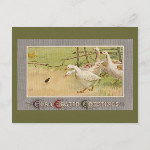 Geese and Chick Vintage Easter Holiday Postcard