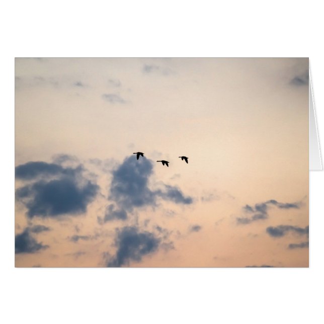 Geese and Soft Sunset (Front Horizontal)
