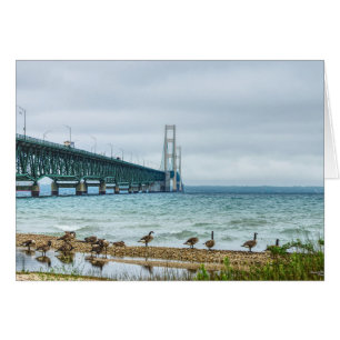 Geese At Mighty Mac