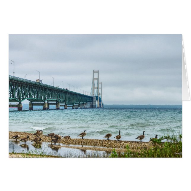 Geese At Mighty Mac (Front Horizontal)