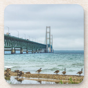 Geese At Mighty Mac Coaster