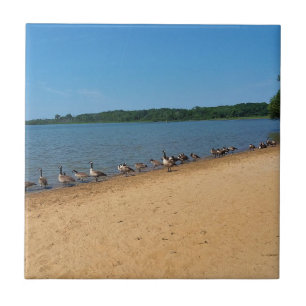 Geese at Silver Lake, Wisconsin Tile
