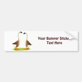 Geese: Brown Chinese Bumper Sticker