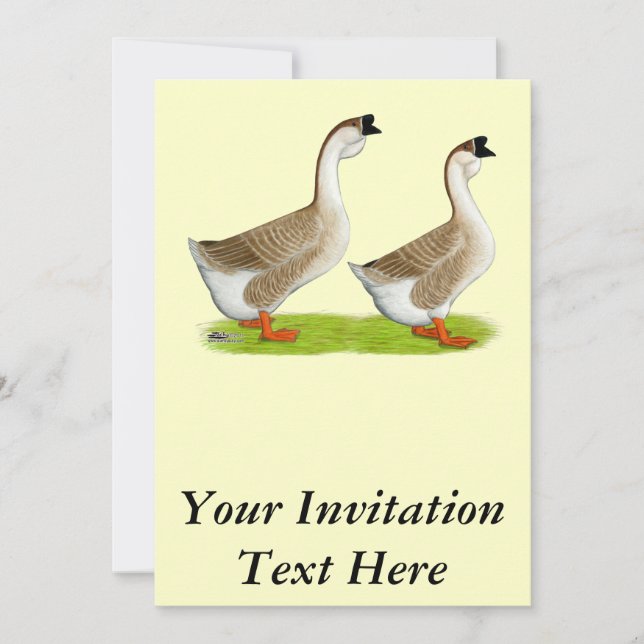 Geese:  Buff African Invitation (Front)