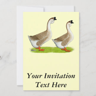 Geese: Buff African Invitation