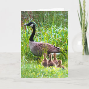 Geese Crossing Card