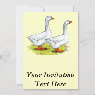 Geese: Embden Pair Invitation