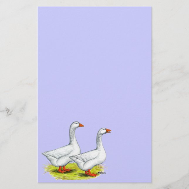 Geese:  Embden Pair Stationery (Front)