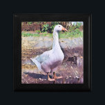 GEESE GIFT BOX<br><div class="desc">An art design of a domesticated goose.</div>