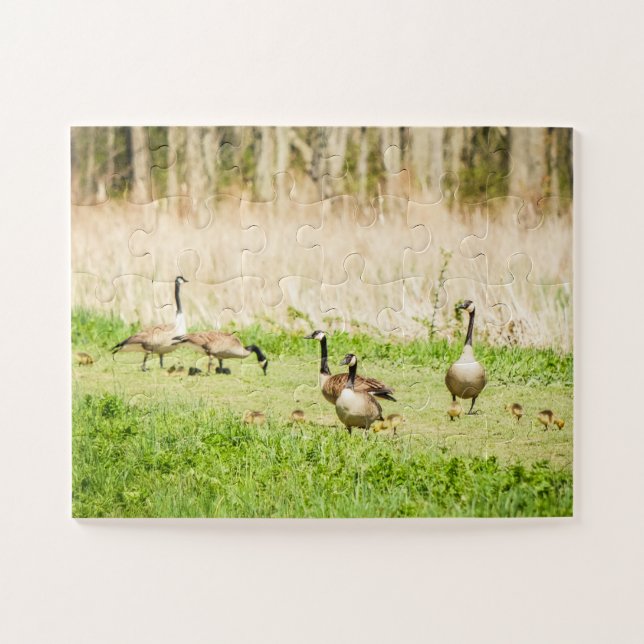 Geese & Goslings Oversized Jigsaw Puzzle (Horizontal)