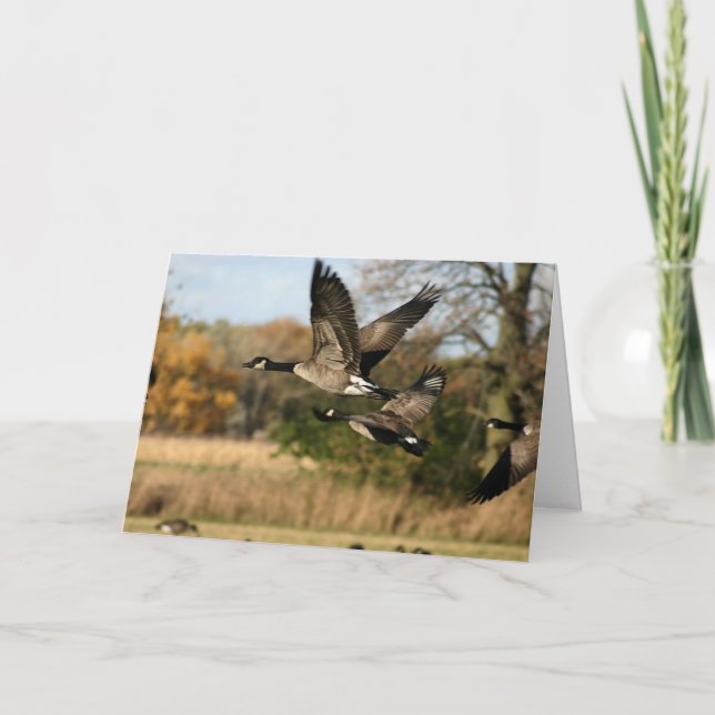 Geese in Flight in Autumn Blank Notecard (Front)