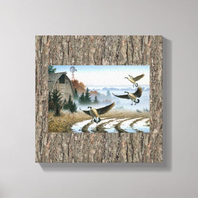 Geese In The Farm Field Canvas Print (Front)