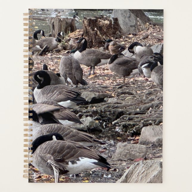 Geese in the Park Planner (Front)