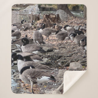 Geese in the Park Sherpa Blanket