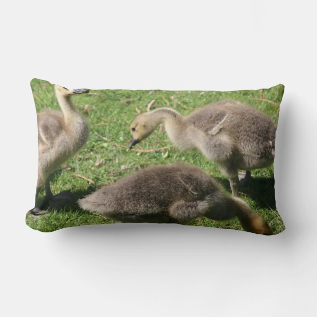 Geese on the Grass Lumbar Cushion (Front)