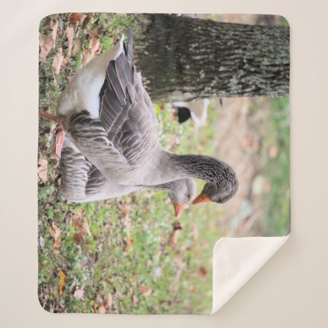 Geese   sherpa blanket (Front)