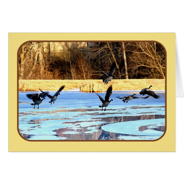 Geese Take Off From A Frozen Pond (Front Horizontal)