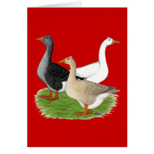 Geese: Tufted Trio