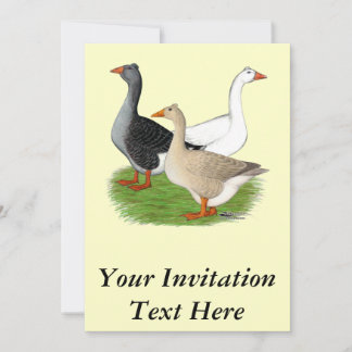 Geese: Tufted Trio Invitation