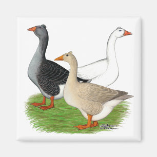Geese: Tufted Trio Magnet