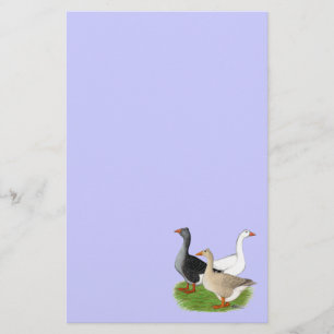 Geese: Tufted Trio Stationery
